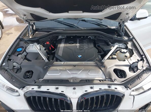 5UX2V5C04M9D93698 2021 BMW X4 Белый Вид сзади
