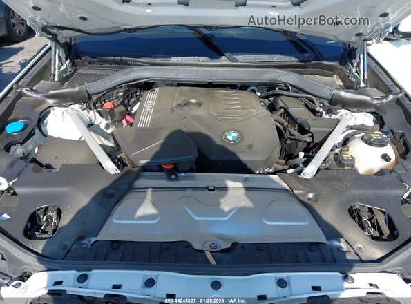 5UX33DT02P9N55057 2023 BMW X4 White Widok z tyłu