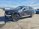 2024 Bmw X3 Sdrive30i Black vin: 5UX43DP04R9W43352