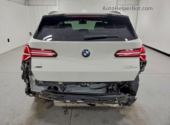 5UX53GP04S9Z70880 2025 BMW X3 Белый Вид сзади