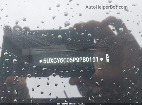 5UXCY6C05P9P80151 2023 BMW X6 Черный 