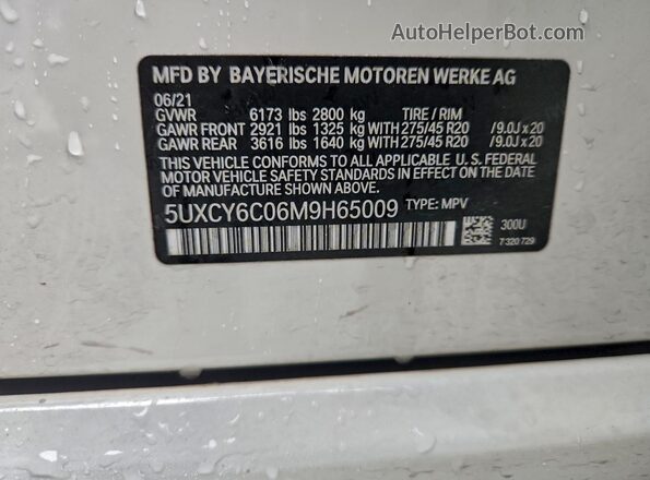 5UXCY6C06M9H65009 2021 BMW X6 Белый Вид наклейки с VIN-кодом