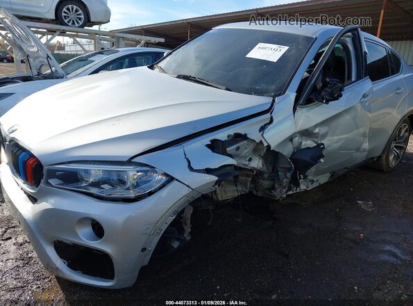 5UXKU2C31H0U29964 2017 BMW X6 Серебряный Вид спереди