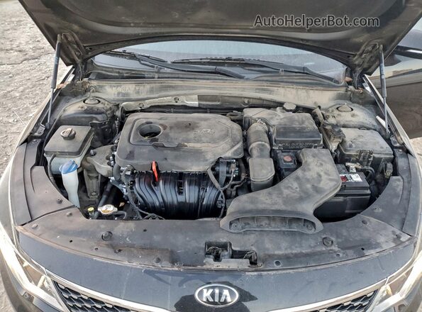 5XXGU4L39GG118315 2016 KIA OPTIMA Black Սալոնի հետևի տեսք