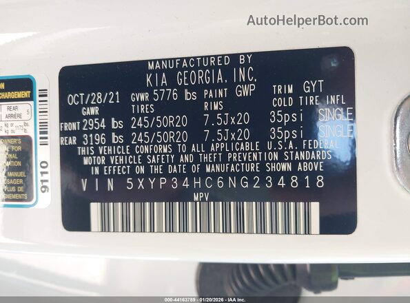 5XYP34HC6NG234818 2022 KIA TELLURIDE Белый Вид подкапотного пространства