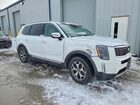 2020 Kia Telluride Ex White vin: 5XYP34HCXLG010979