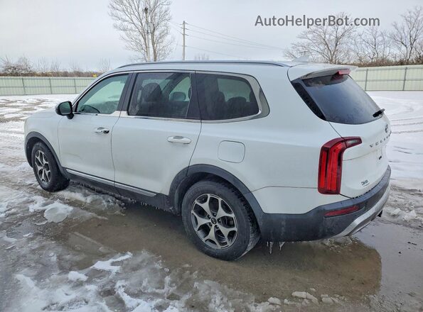 5XYP34HCXLG010979 2020 KIA TELLURIDE White უკანა მარცხენა