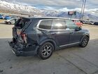 2020 Kia Telluride Ex Black vin: 5XYP3DHC2LG039683
