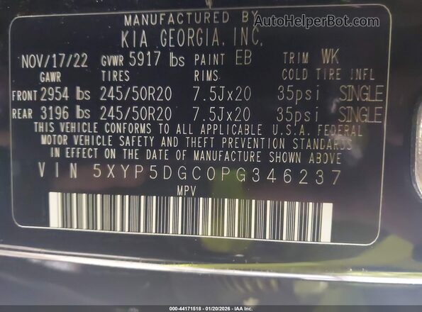 5XYP5DGC0PG346237 2023 KIA TELLURIDE Черный Вид подкапотного пространства