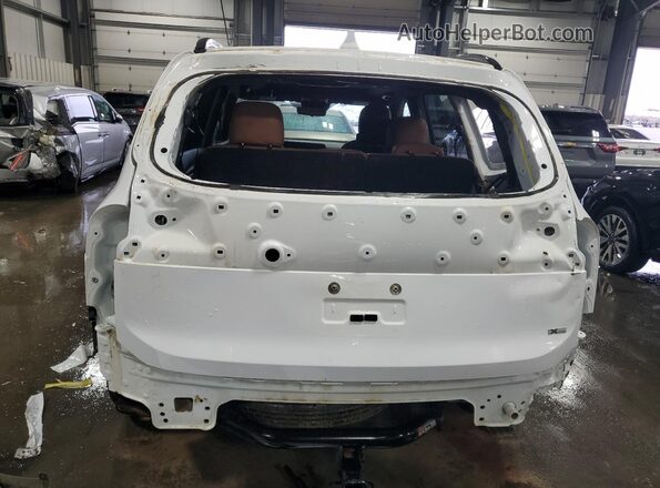 5XYP5DGC2PG394337 2023 KIA TELLURIDE White Հետևի տեսք