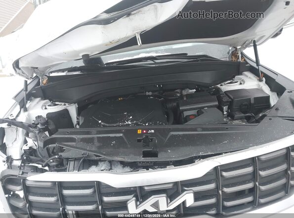 5XYP5DGC2RG501857 2024 KIA TELLURIDE White Հետևի տեսք