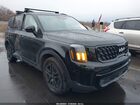 2024 Kia Telluride Sx Prestige X-line Black vin: 5XYP5DGC2RG509618