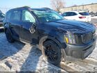 2024 Kia Telluride Sx Prestige X-line Black vin: 5XYP5DGC4RG478937