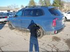 2024 Kia Telluride Sx Prestige X-line Blue vin: 5XYP5DGC5RG542368
