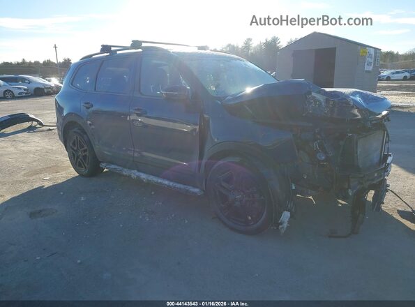 5XYP5DGC5RG542368 2024 KIA TELLURIDE Blue Przód prawy
