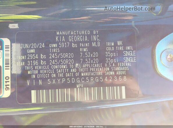 5XYP5DGC5RG542368 2024 KIA TELLURIDE Blue Widok komory silnika