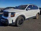 2024 Kia Telluride Sx Белый vin: 5XYP5DGC6RG499031