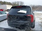 2021 Kia Telluride Sx Black vin: 5XYP5DHC2MG116614