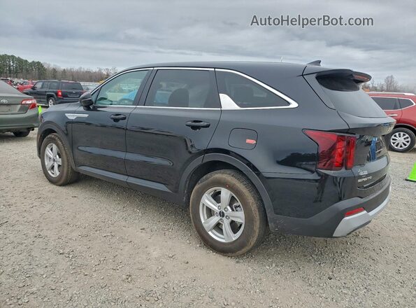 5XYRG4JC5TG417678 2026 KIA SORENTO Черный Задняя левая четверть