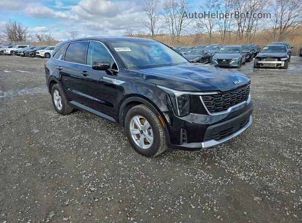 5XYRG4JC6SG353973 2025 KIA SORENTO Черный Задняя правая четверть