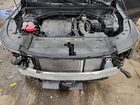 2024 Kia Sorento Ex Gray vin: 5XYRHDJF9RG306910