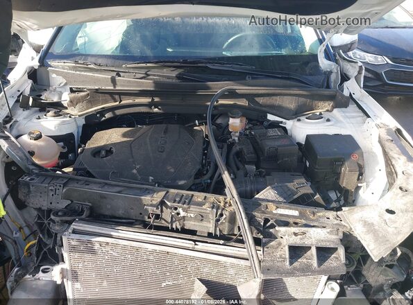 5XYRL4JC0RG289547 2024 KIA SORENTO White Вид ззаду