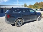 2024 Kia Sorento S Black vin: 5XYRLDJC0RG260520