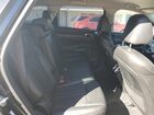 2024 Kia Sorento S Black vin: 5XYRLDJC0RG260520
