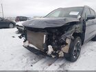 2024 Kia Sorento S Pewter vin: 5XYRLDJC7RG281767