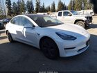 2019 Tesla Model 3 Long Range/performance White vin: 5YJ3E1EB3KF510801
