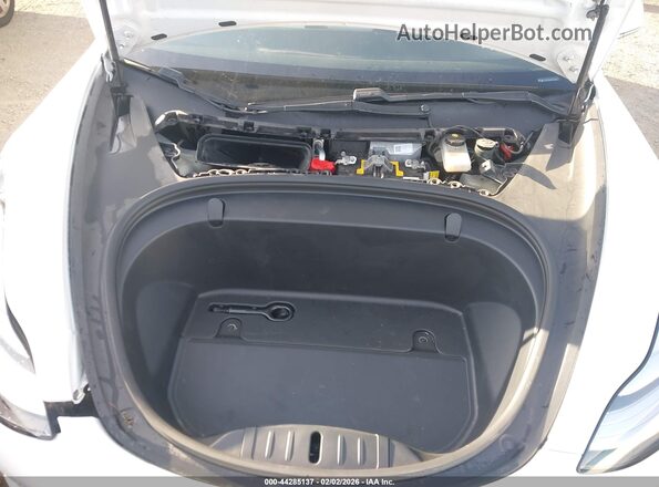5YJ3E1EB8KF487466 2019 TESLA MODEL 3 Белый Вид сзади