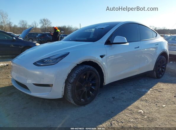 5YJYGDEE9MF239399 2021 TESLA MODEL Y White Front left