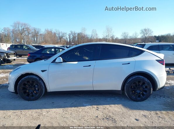 5YJYGDEE9MF239399 2021 TESLA MODEL Y White 