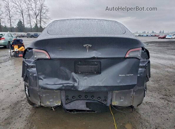 5YJYGDEE9MF241329 2021 TESLA MODEL Charcoal Widok z tyłu