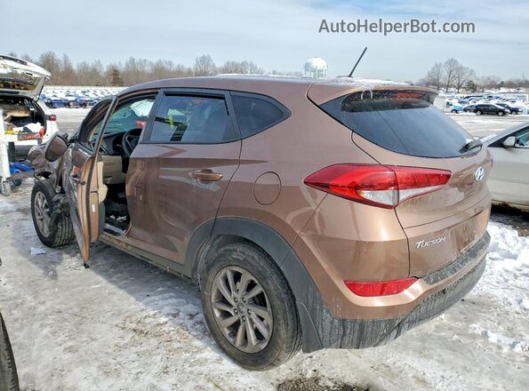KM8J23A46HU438264 2017 HYUNDAI TUCSON Коричневый Задняя правая четверть