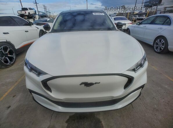 3FMTK3R78RMA18406 2024 FORD MUSTANG MACH-E PREMI Белый Вид сзади