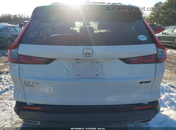 7FARS6H58PE038810 2023 HONDA CR-V HYBRID Белый 