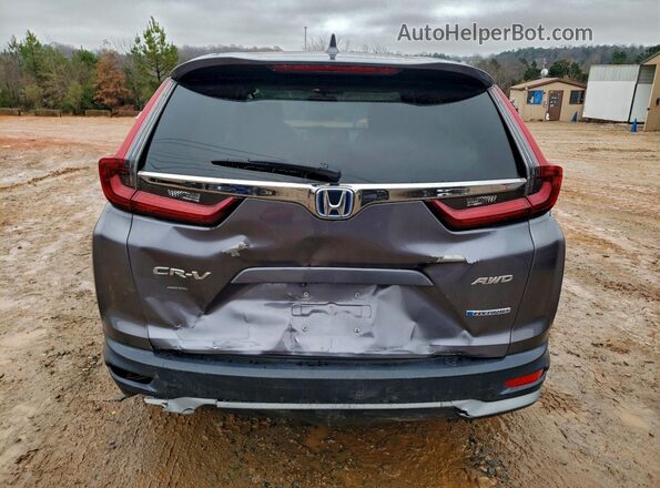 7FART6H53LE024417 2020 HONDA CRV Gray უკანა ხედი