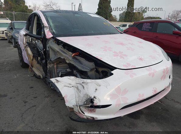 7SAYGDED5SF249158 2025 TESLA MODEL Y Pink Առջևի աջ