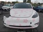 2025 Tesla Model Y Long Range Dual Motor Rear-wheel Drive Pink vin: 7SAYGDED5SF249158 2025 Tesla Model Y Long Range Dual Motor Rear-wheel Drive Pink vin: 7SAYGDED5SF249158