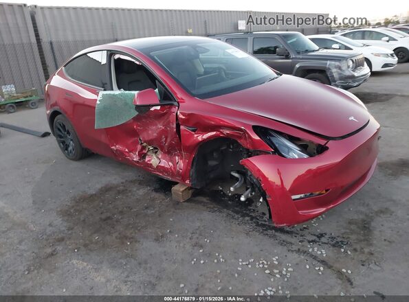 7SAYGDED6RF129542 2024 TESLA MODEL Y Burgundy Передня права чверть