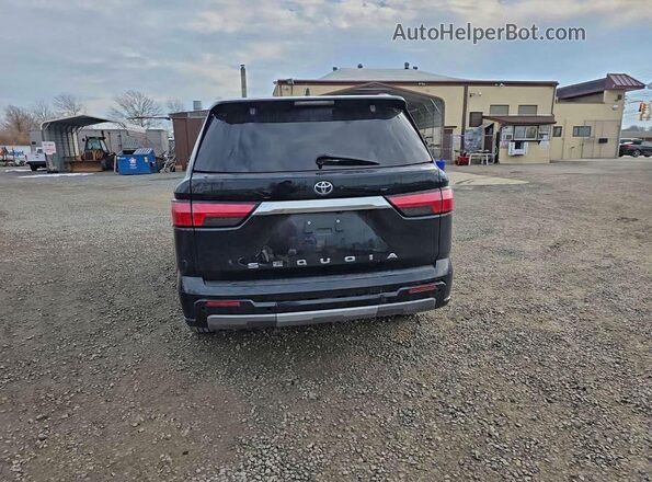 7SVAAABA8PX004088 2023 TOYOTA SEQUOIA Blue Вид ззаду