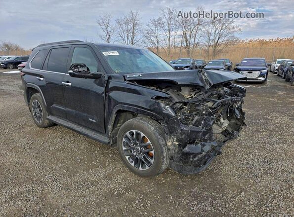 7SVAAABA8PX004088 2023 TOYOTA SEQUOIA Blue Задня права чверть