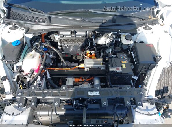 7YAKR4DA3SY028672 2025 HYUNDAI IONIQ 5 Белый Вид сзади