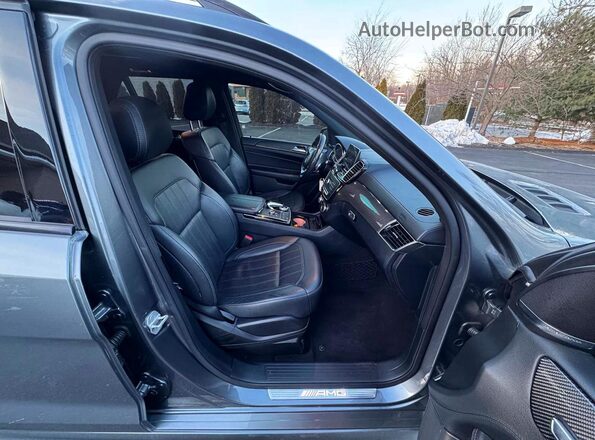 4JGDA6EB7HA989007 2017 MERCEDES-BENZ GLE Серый Вид салона спереди