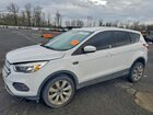 2019 Ford Escape Se White vin: 1FMCU0GD7KUB07399