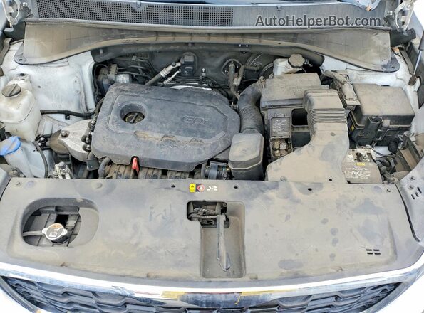 5XYPG4A37LG623169 2020 KIA SORENTO Белый Вид подкапотного пространства