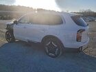 2024 Kia Telluride Ex Белый vin: 5XYP3DGC3RG532752