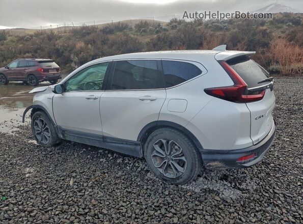 7FART6H53LE016110 2020 HONDA CRV White Հետևի աջ