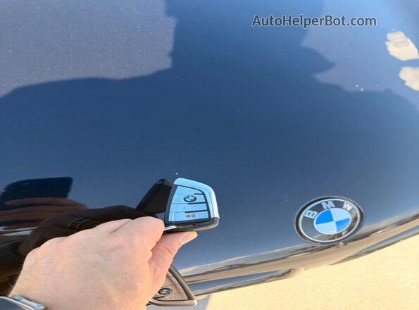5UXCY6C05N9M64388 2022 BMW X6 Синий 